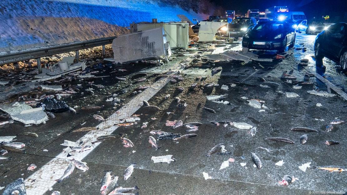 Accident rutier pe autostrada A1 în Germania: mii de pești vii împrăștiați pe drum