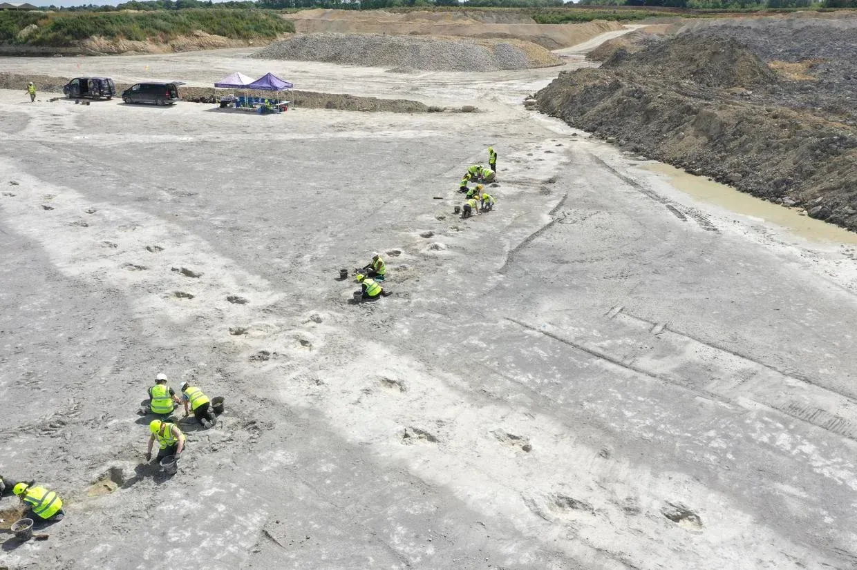 Descoperire remarcabilă în Anglia: „Autostrada Dinozaurilor” cu urme vechi de 166 de milioane de ani