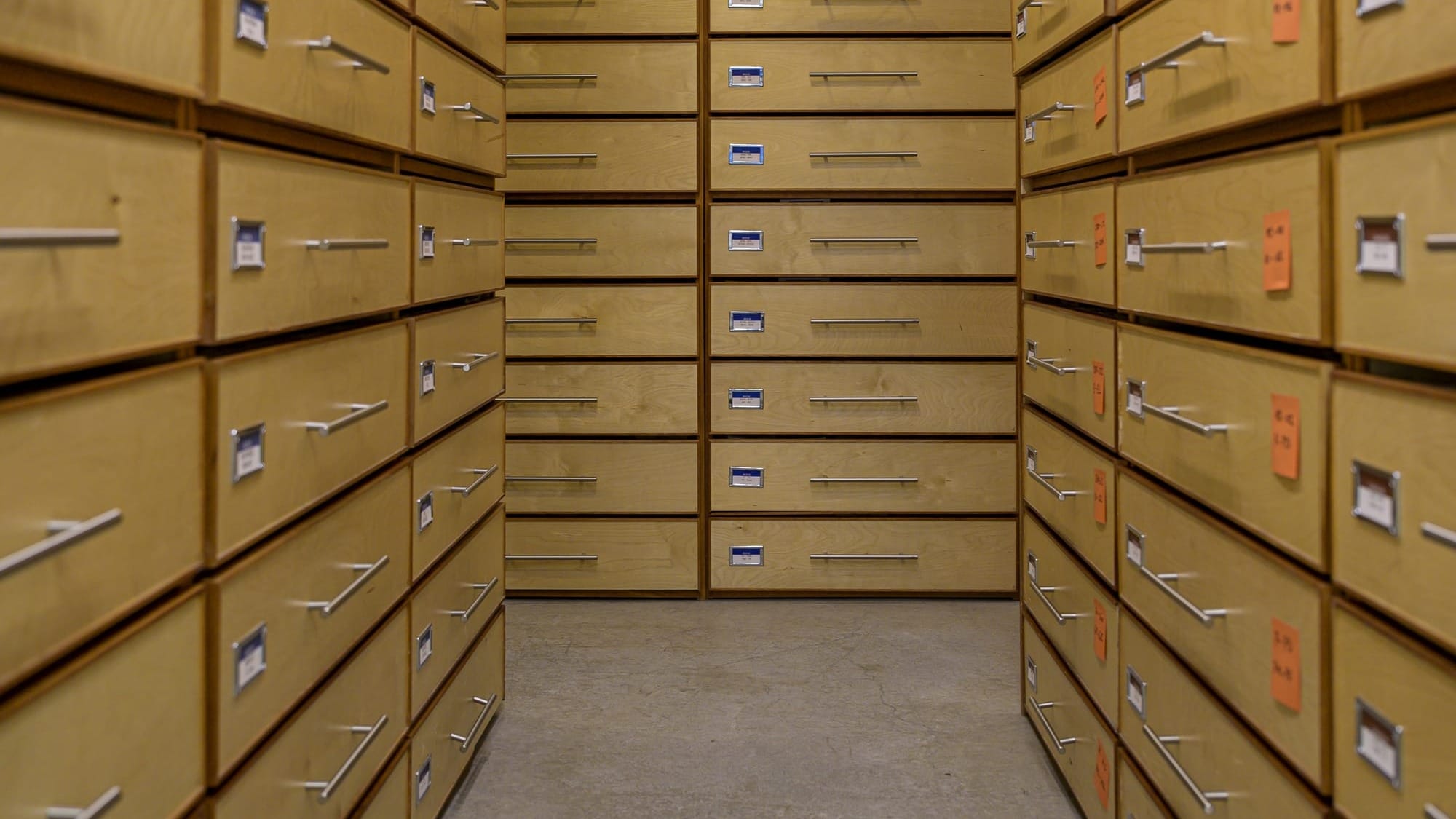 Țările de Jos: O arhivă istorică a colaboratorilor naziști devine accesibilă online