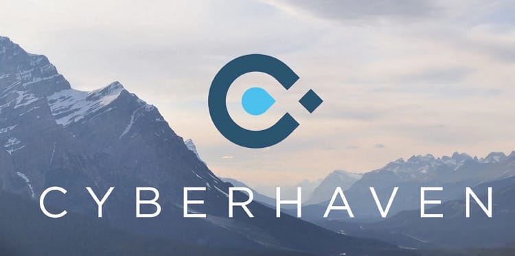 Cyberhaven: Startup-ul fondat de români devine "Unicorn" cu o evaluare de 1 miliard de dolari​