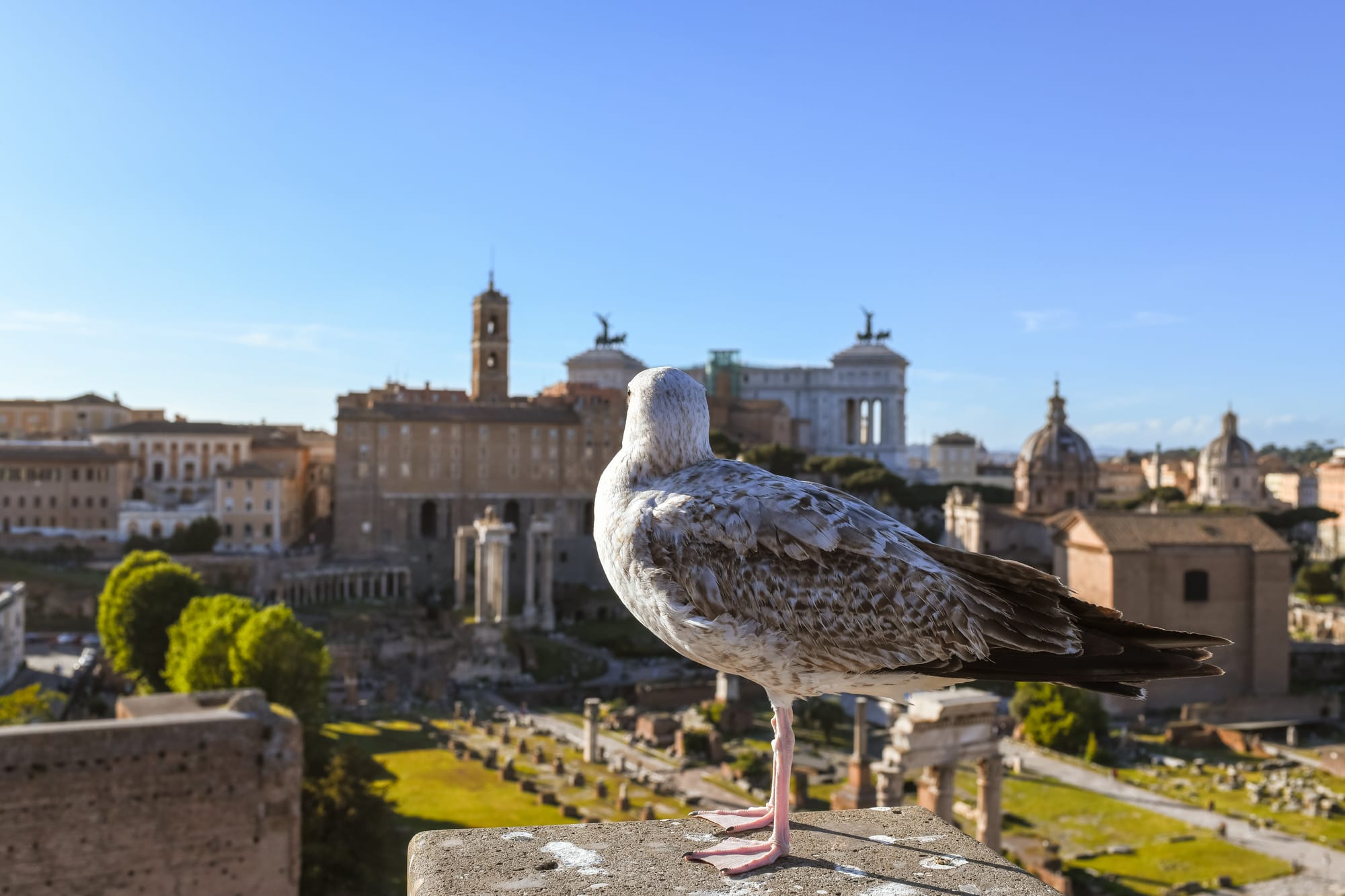Ziua de 12 aprilie în istorie