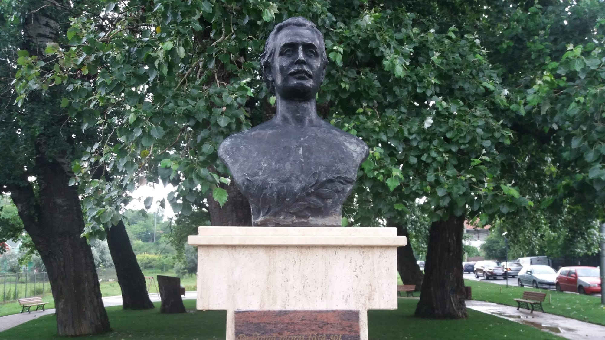 Plopul fără soț a căzut: Incident pe strada inspirată de Mihai Eminescu