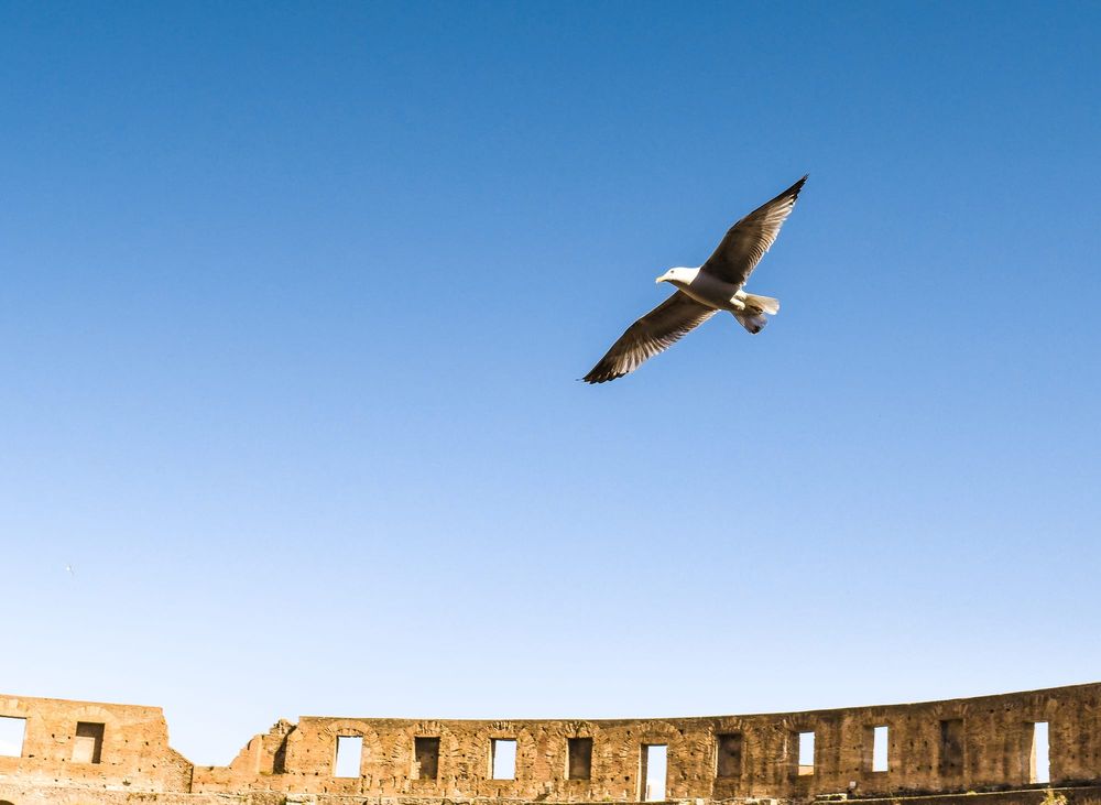 Ziua de 8 aprilie în istorie imagine postare