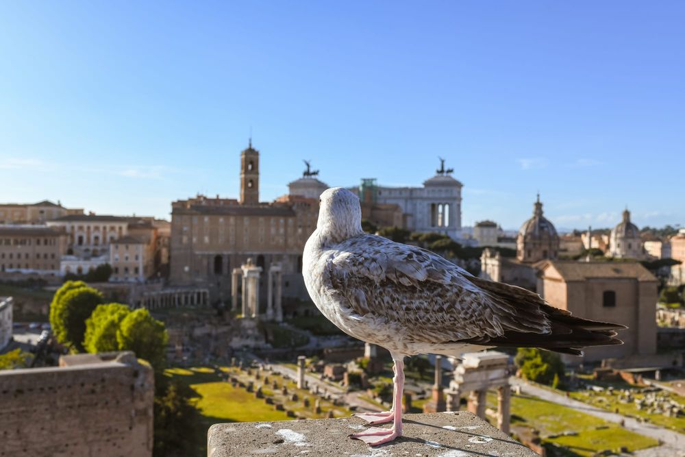 Ziua de 12 aprilie în istorie imagine postare