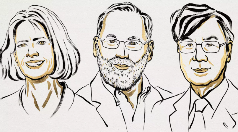 Premiul Nobel pentru Medicină 2025: Povestea celulelor care țin echilibrul vieții-Video imagine postare