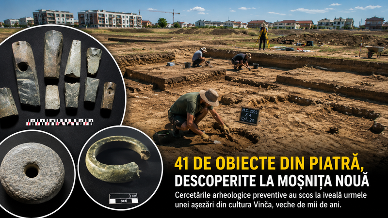 41 de obiecte din piatră, descoperite la Moșnița Nouă înaintea construirii unor clădiri imagine postare