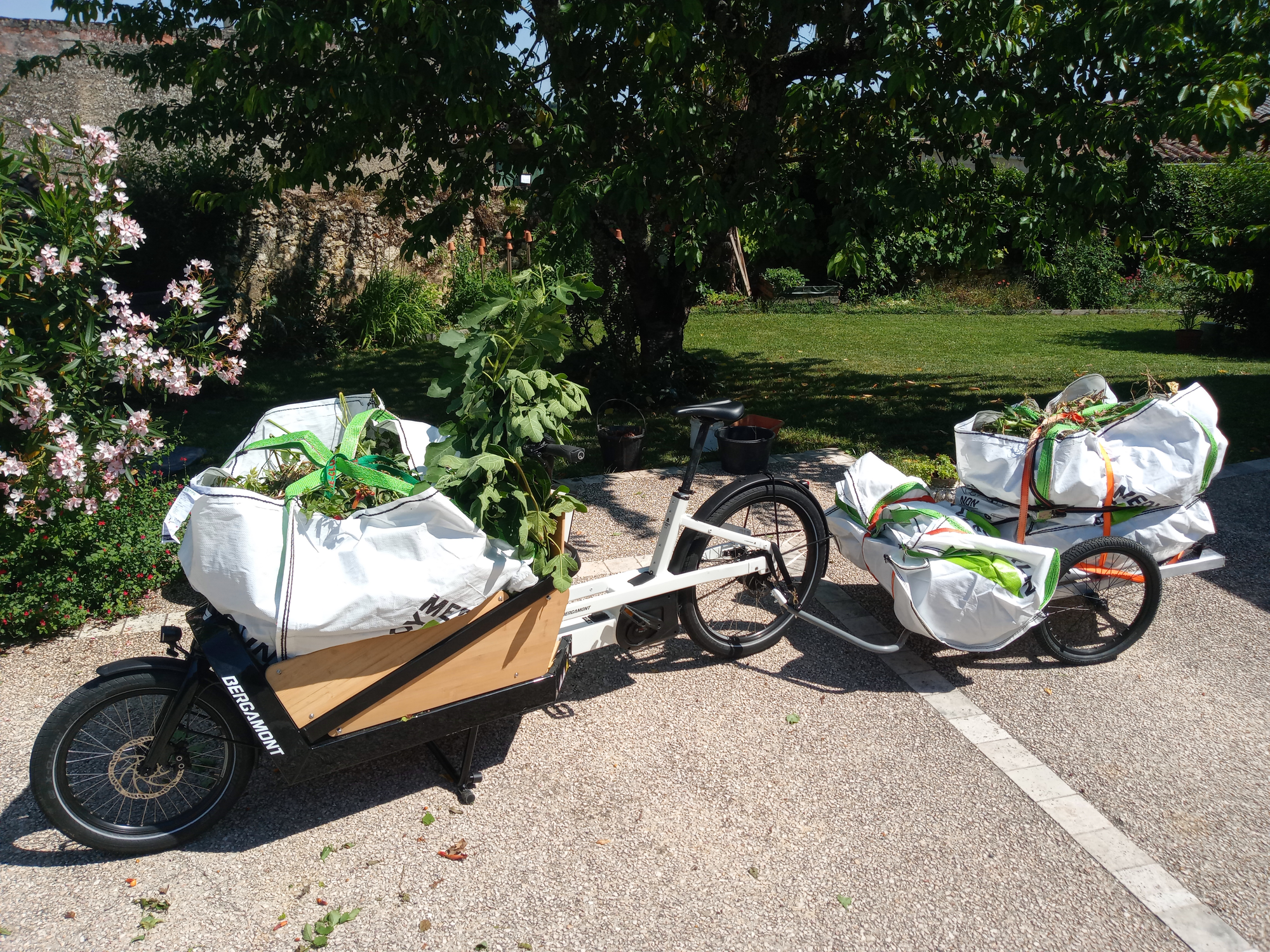 Bergamont E-Cargoville LJ et déchets verts