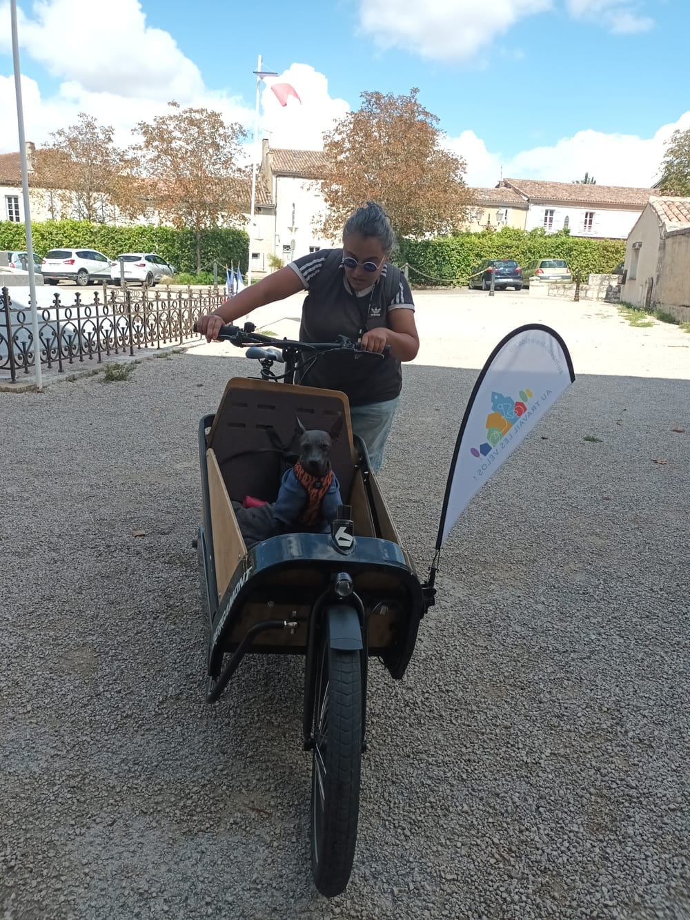 Un chien tranquillement instalé dans la caisse bambou d'un vélo cargo Bergamont E-Cargoville LJ