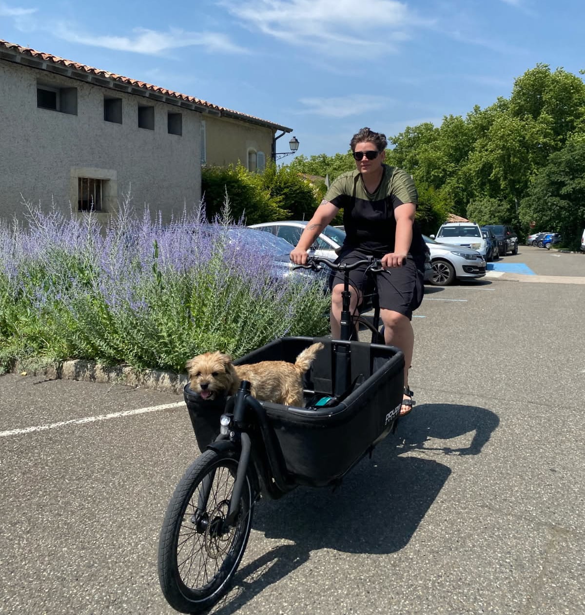 Un chien heureux dans la caisse soft box d'un vélo cargo Douze V2