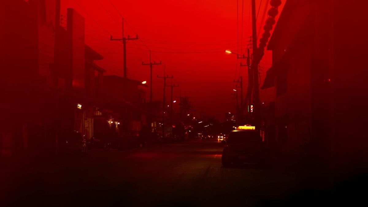 Society Is a Corpse That Purges at the Mouth