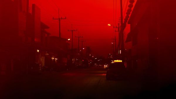 Society Is a Corpse That Purges at the Mouth