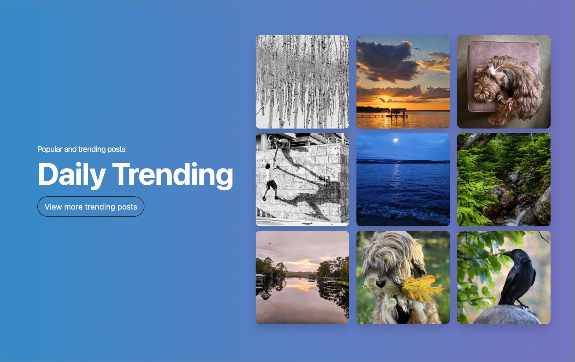 The top left image is mine. I was famous for a few hours.