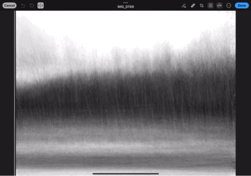 Before & after photo processing session. 