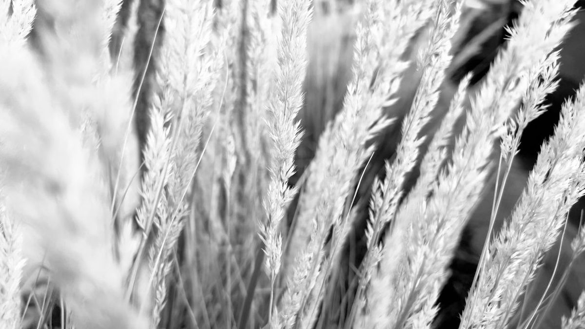 Friday Notes #48 — Finding Inspiration And Delight