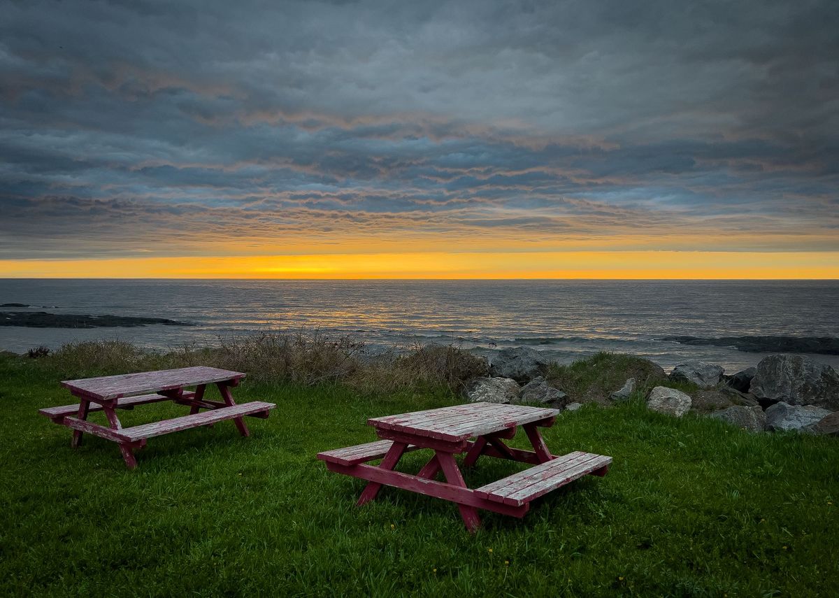 Numeric Citizen Introspection Newsletter #22