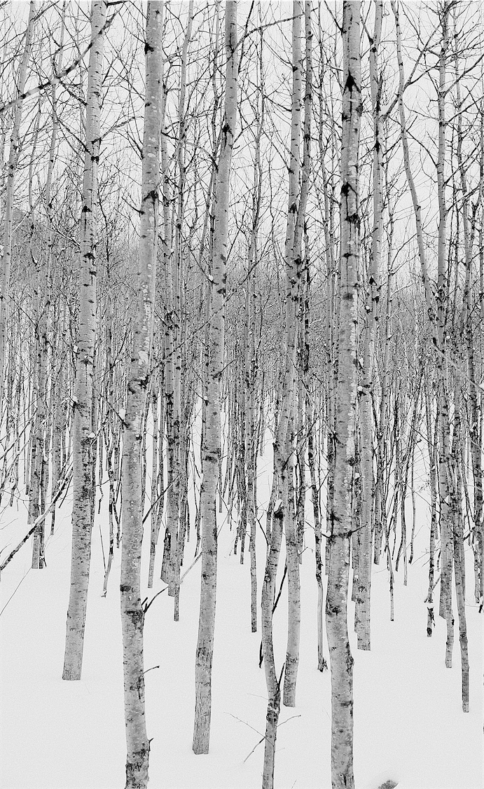 My Weekly Creative Summary for the Week of 2023/47