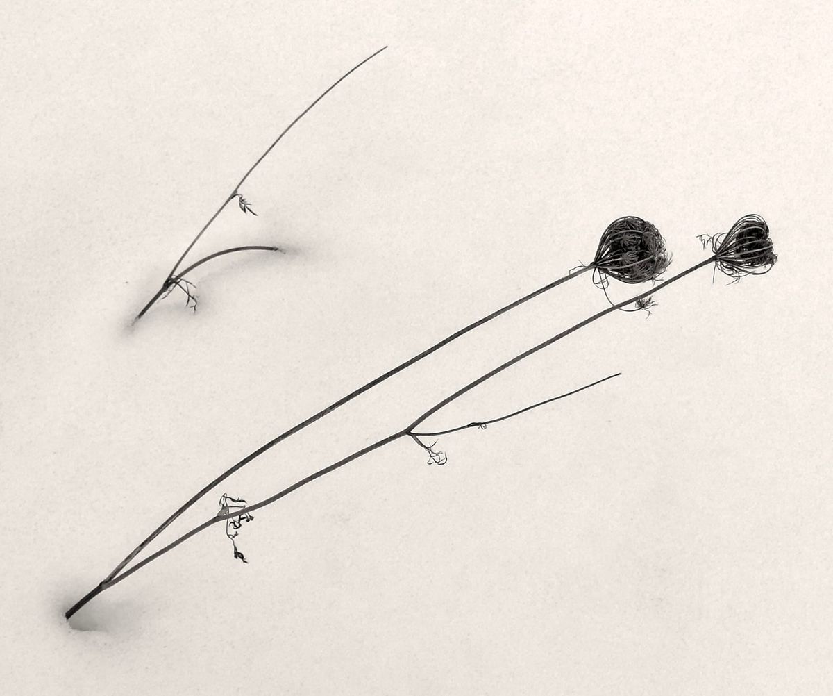 My Weekly Creative Summary for the Week of 2024/05