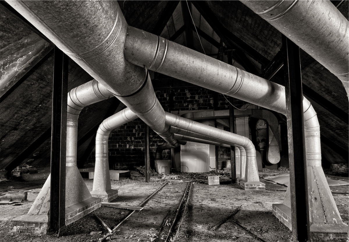 My Weekly Creative Summary for the Week of 2024-07