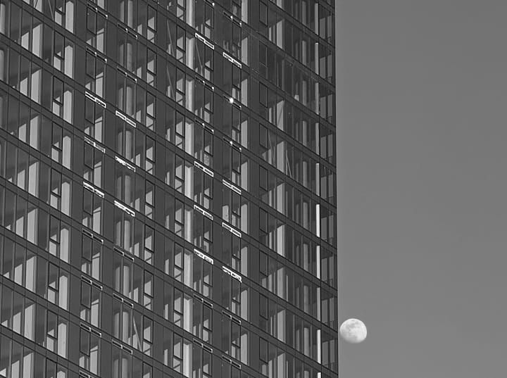 My Weekly Creative Summary for the Week of 2024-11