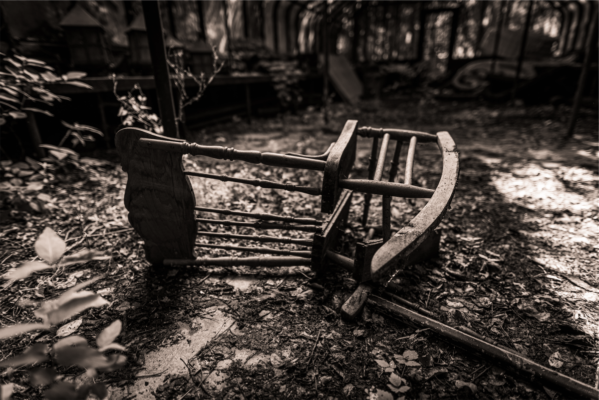 My Weekly Creative Summary for the Week of 2024-08