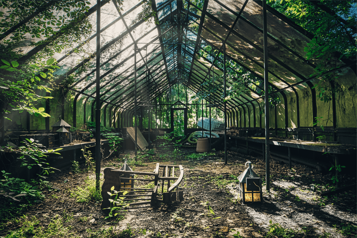 My Weekly Creative Summary for the Week 2024-09