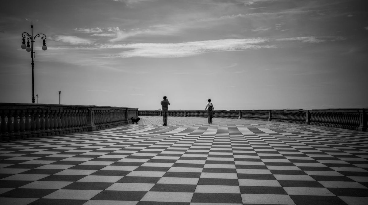 My Weekly Creative Summary for the Week of 2024-22