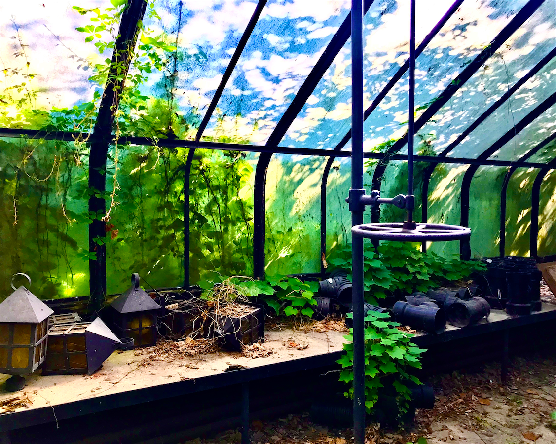 My Weekly Creative Summary for the Week of 2024-21