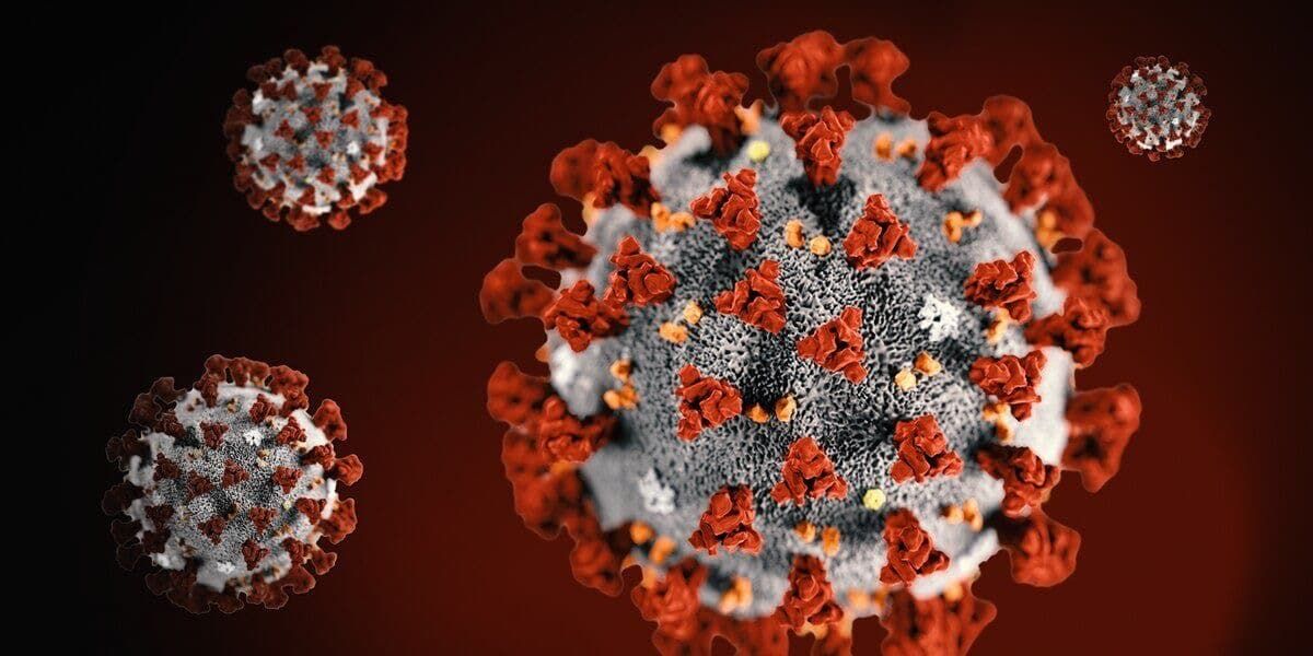 The coronavirus