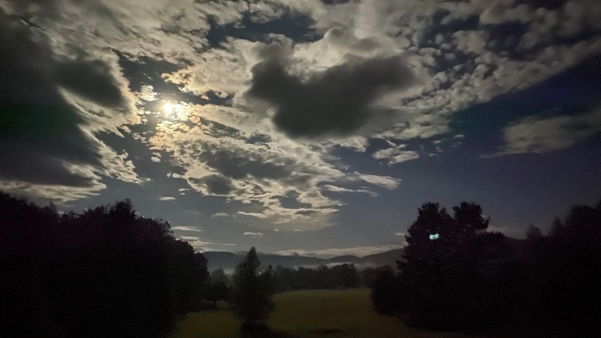 July of 2020 in Pictures