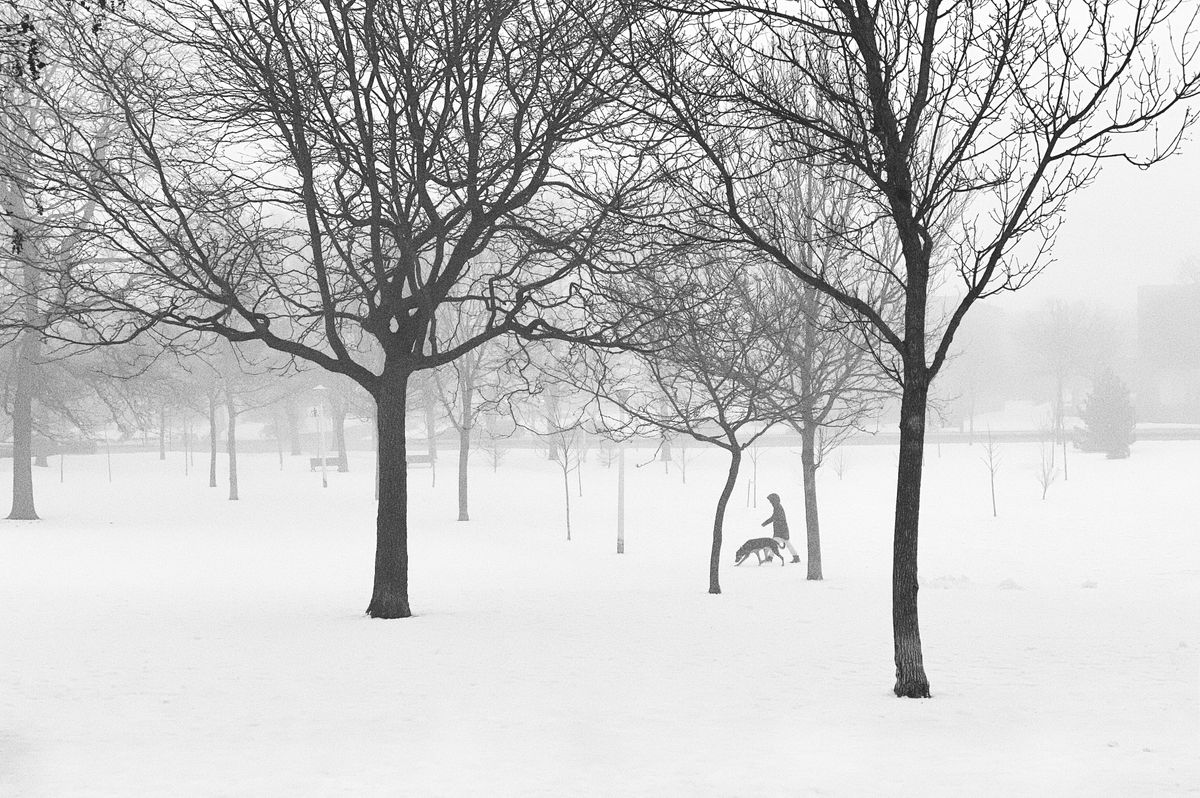 Winter can be Beautiful