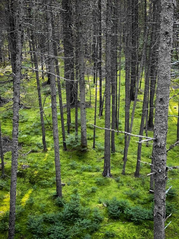 Photo Legend #27 — A Room With a View