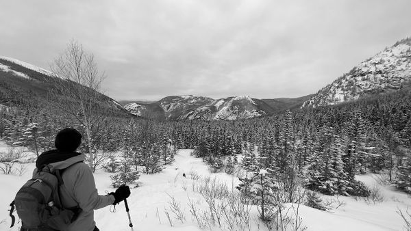 Friday Notes #57 — Feeling Alive and Well