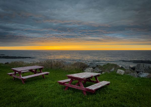 Numeric Citizen Introspection Newsletter #22