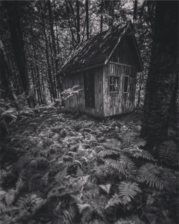 My Weekly Creative Summary for the Week of 2023/41