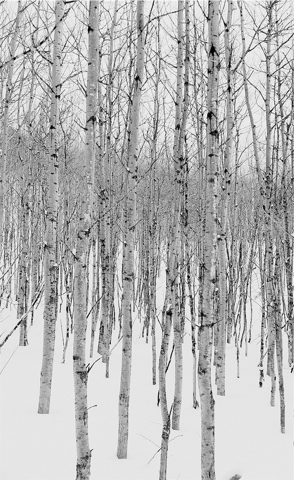 My Weekly Creative Summary for the Week of 2023/47