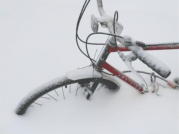 My Weekly Creative Summary for the Week of 2023/49