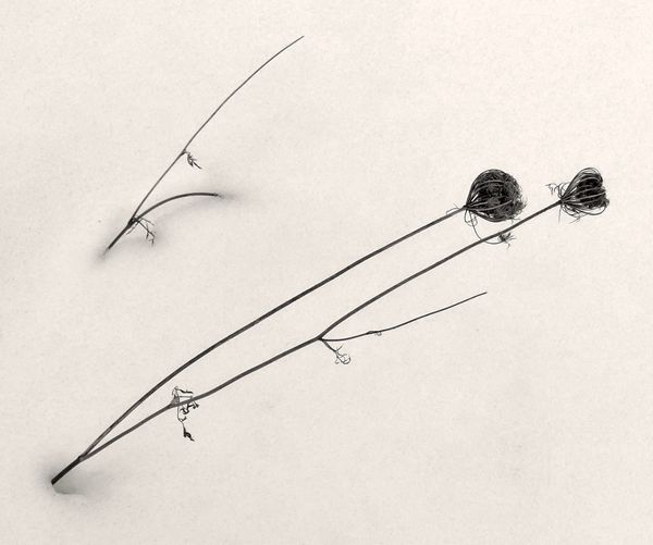 My Weekly Creative Summary for the Week of 2024/05