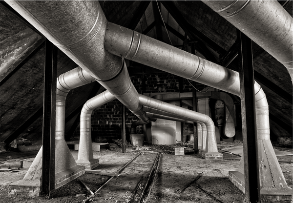 My Weekly Creative Summary for the Week of 2024-07