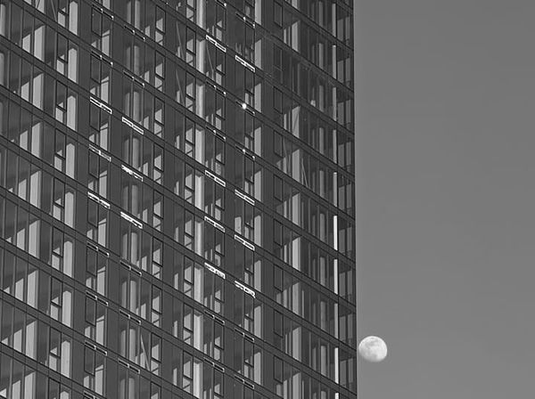 My Weekly Creative Summary for the Week of 2024-11