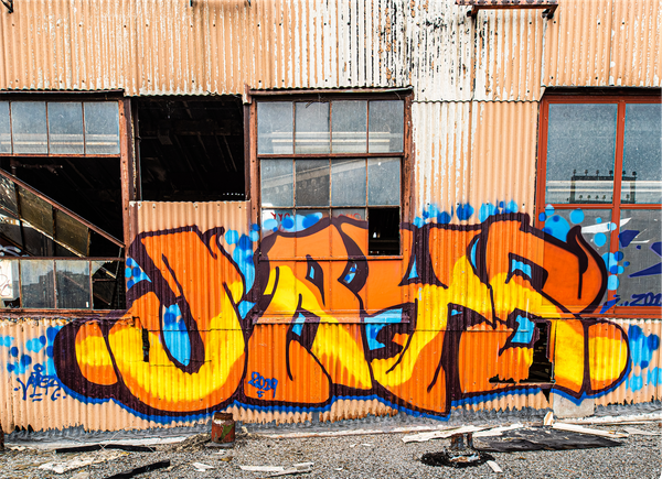 My Weekly Creative Summary for the Week of 2024-20