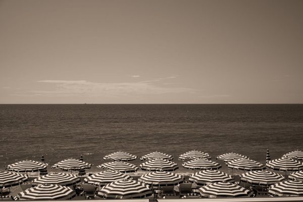 My Weekly Creative Summary for the Week of 2024-23