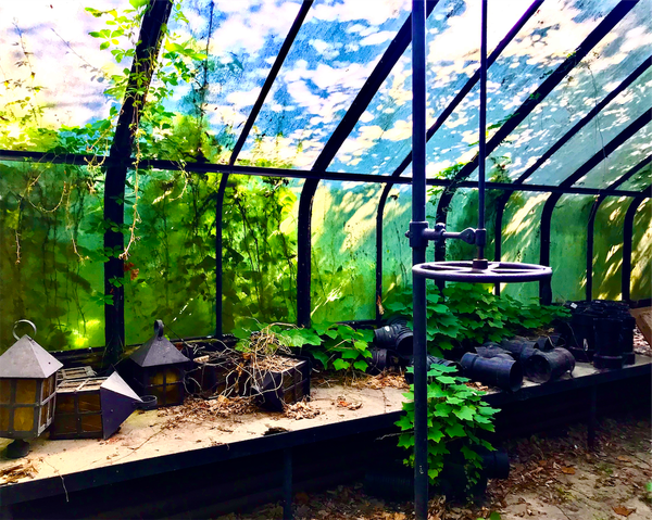 My Weekly Creative Summary for the Week of 2024-21