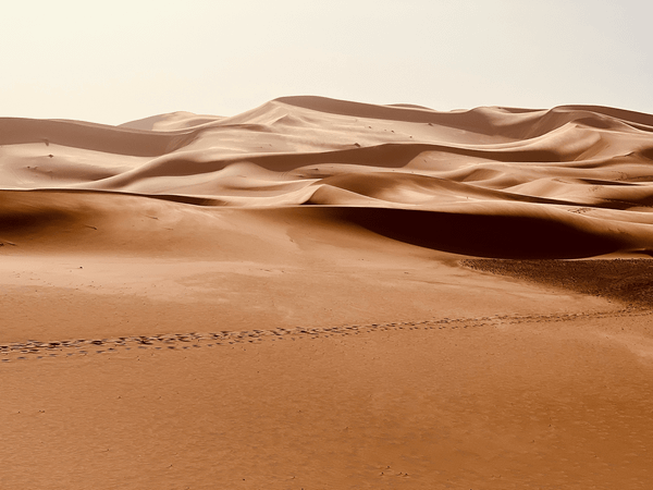 The Ephemeral Scrapbook — Edition 2024-42