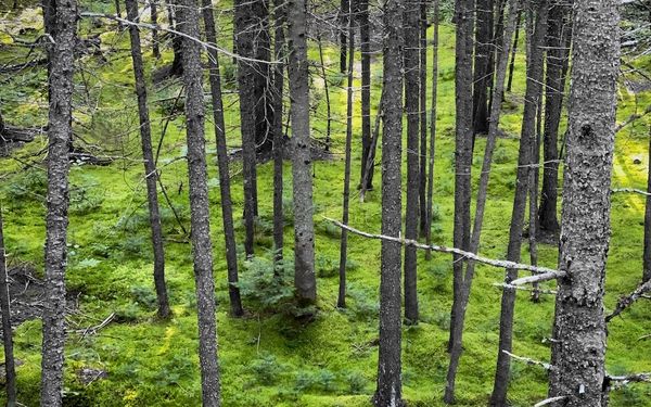 Photo Legend #27 — A Room With a View