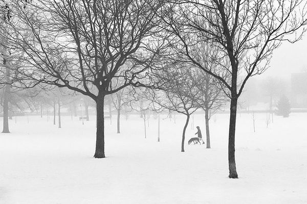 Restarting my Photo Legend Series