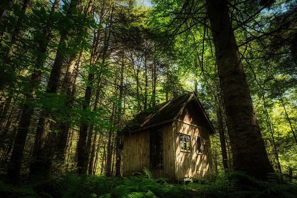 Photo Legend #23 — The Cabin