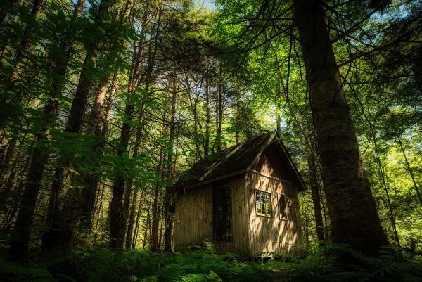 Photo Legend #23 — The Cabin