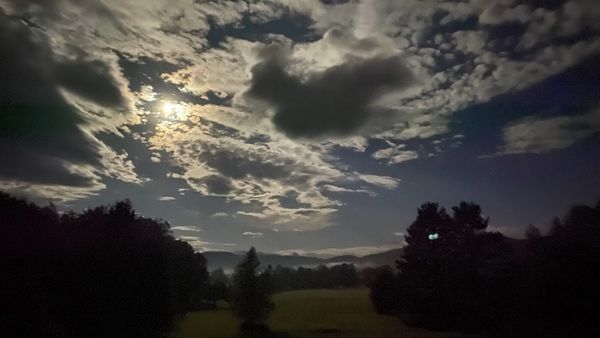 July of 2020 in Pictures