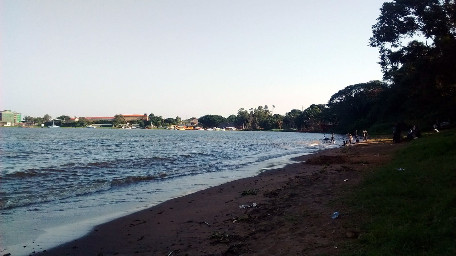 The Lake Victoria shore at Entebbe, Uganda · Photo: Rcdwealth / Wikimedia (CC BY)