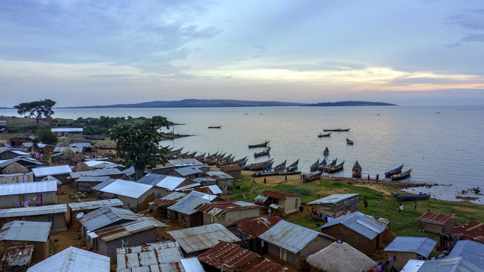 A Lake Victoria island village, Uganda · Photo: Tusk media / Wikimedia Commons (CC BY)